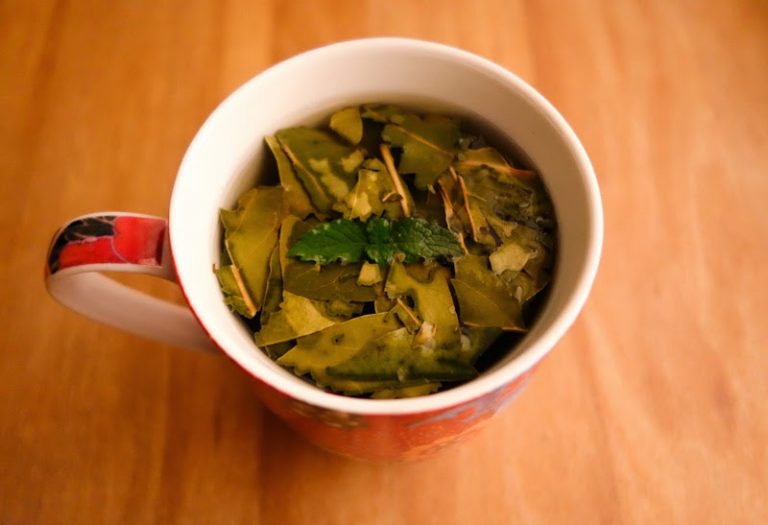 Buy Bay Leaf Tea Benefits, Side Effects, How to Make